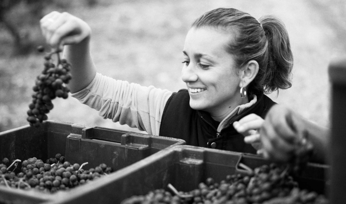 Bodegas VEGACLARA