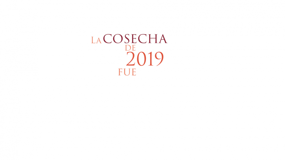 La Añada 2019 de Ribera del Duero, calificada como EXCELENTE