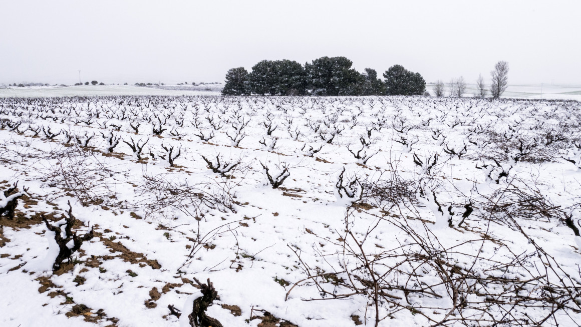 Abés, esencia de la Ribera del Duero