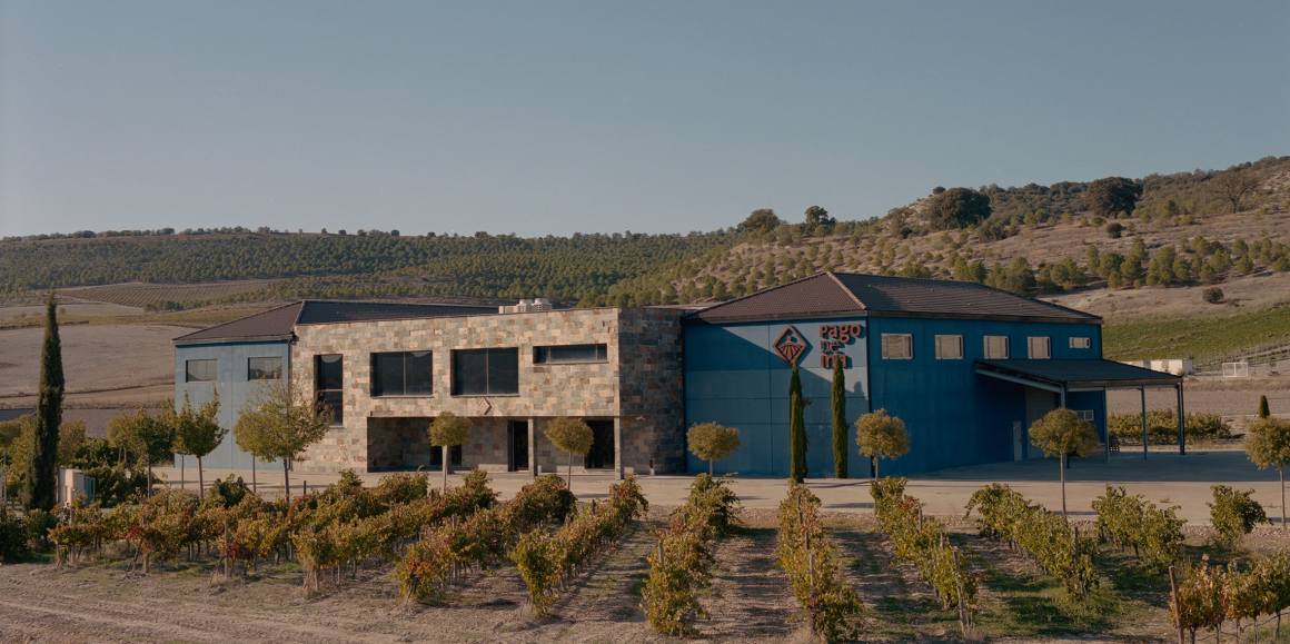 Panorámica bodega