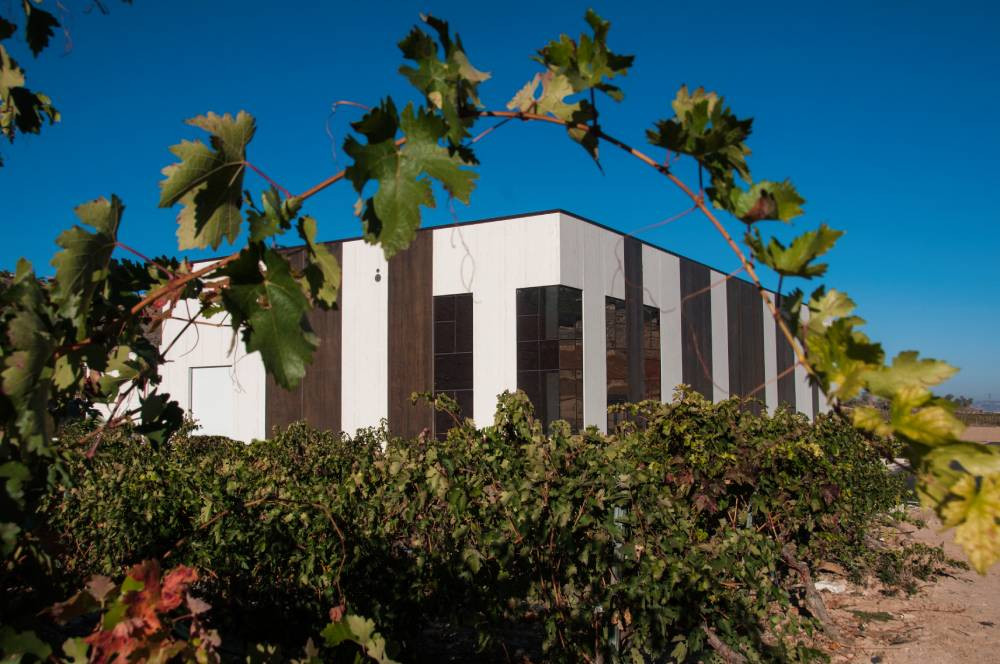 Bodega Convento Oreja desde los viñedos