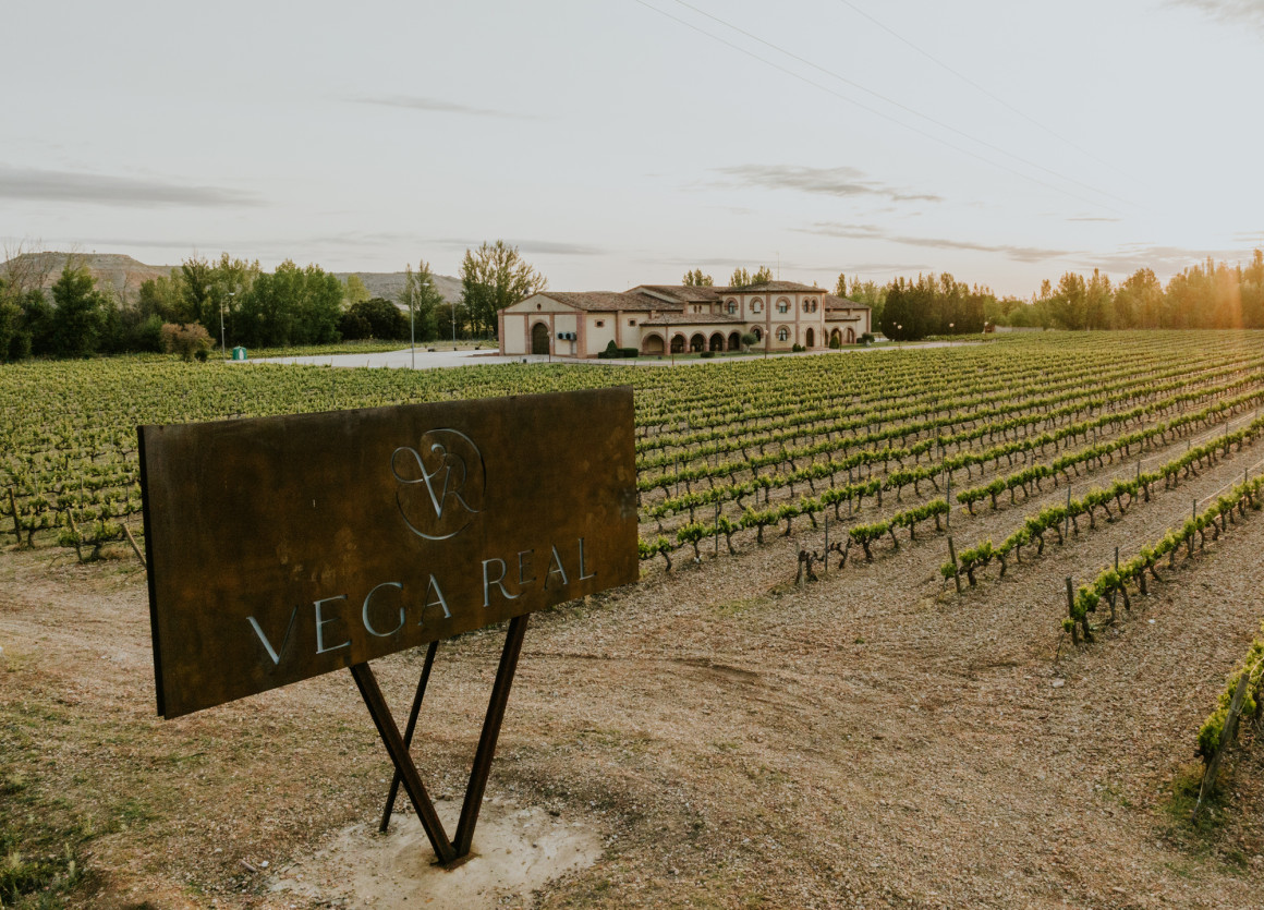 Copia de VEGA_REAL-440 (1)_0.jpg