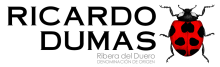 Ricardo Dumas