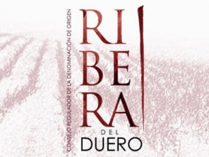 Ribera del Duero analizará