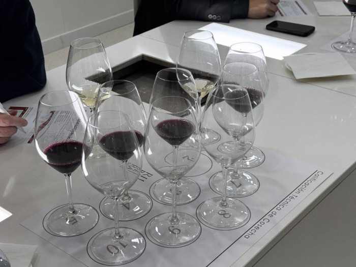 Añada Ribera del Duero 2025