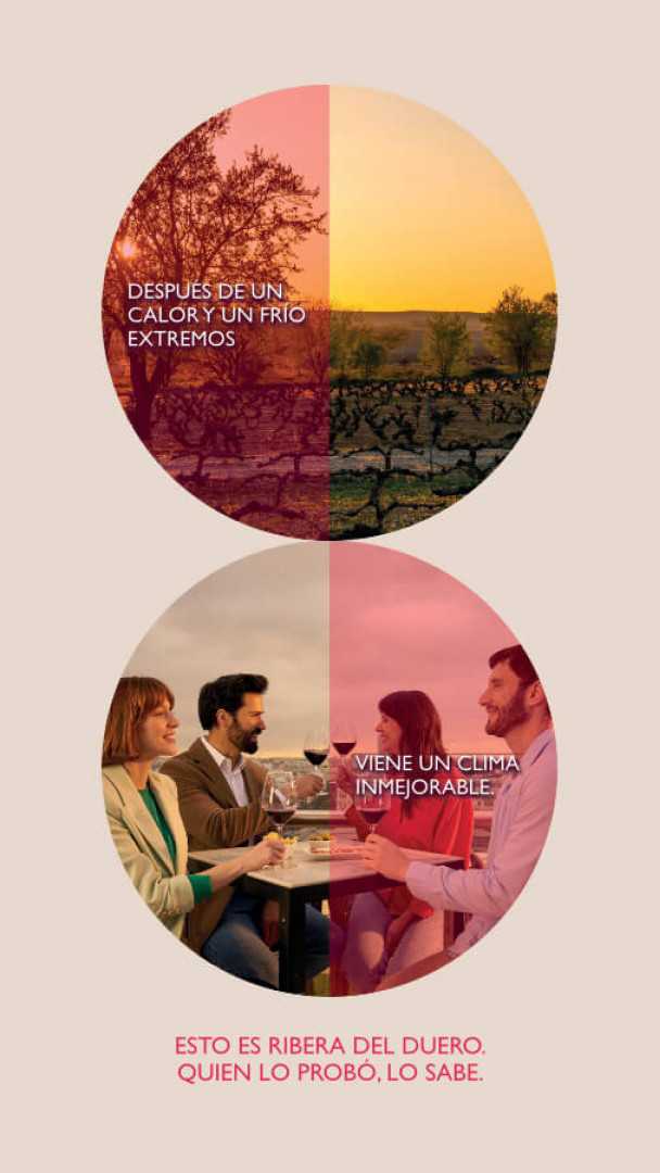 Ribera del Duero 2022